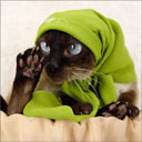 Аватара пользователя