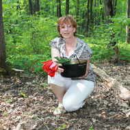 Аватара пользователя