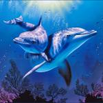 Аватара пользователя