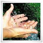 Умеем ли мы полемизировать? - i (3).jpg