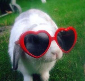 Помогите выбрать правильные слова - Наследственный признак.jpg