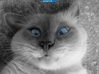 Смыслология русского языка - 07.0фы3.16 - 1.jpg