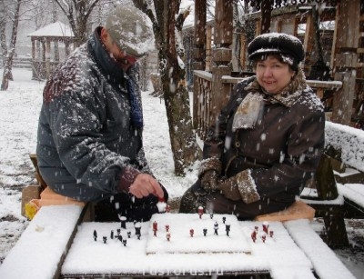 Любимые стихи. Иллюстрируем - shax.jpg