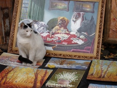 О кошачьих - kisa.jpg