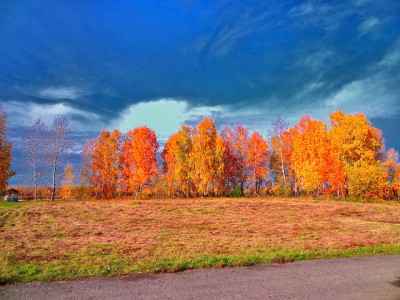 Песни со словом осень. Сколько возможно вспомнить? - getImage.jpg