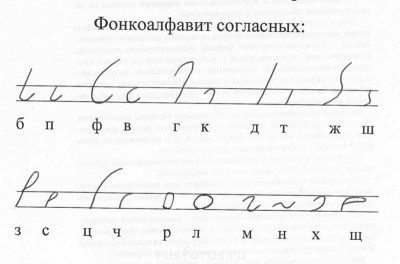 Сравнительное написание звонких и глухих согласных.