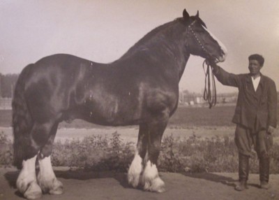 На чём поедем? - ТЯЖ.jpg