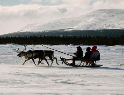 На чём поедем? - ОЛЕНИ.jpg