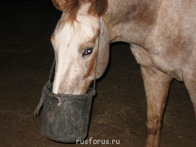 Любимые стихи. Иллюстрируем - IMG_1908.JPG