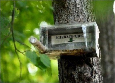 Забавные объявления - КЛЕВАТЬ.jpg