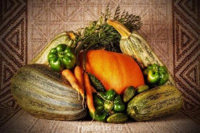 Эссе о зоне неуверенного земледелия - ururojay.jpg