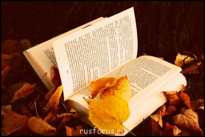 Любимые стихи. Иллюстрируем - 157791.jpg