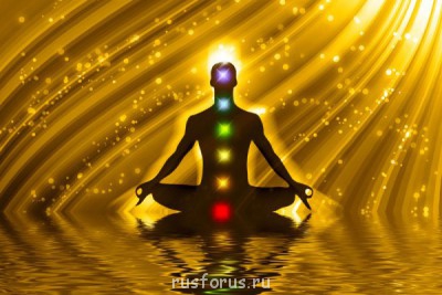 Эссе о человеческом теле - Zhizne.jpg