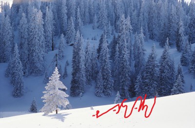 А где же раздел Учение о письме ? - 261214.jpeg