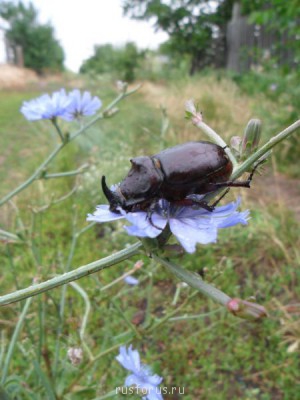 Фотографируем... - 0006a.JPG