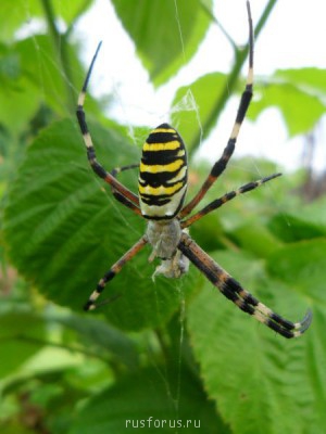 Фотографируем... - 0028.JPG