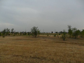 Фотографируем... - 01.JPG