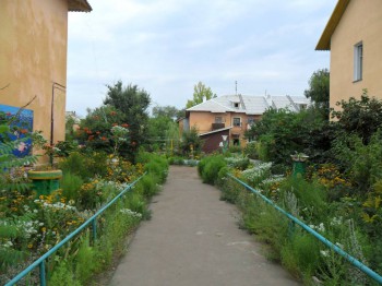 Фотографируем... - 04.JPG