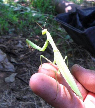 Фотографируем... - 08.JPG