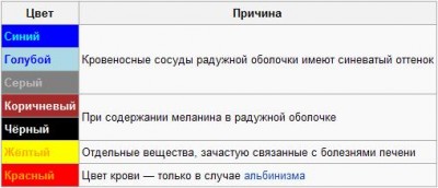 агатовые глаза - iris.JPG