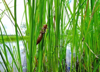 Фотографируем... - --------.jpg