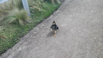 Фотографируем... - 20150520_111239.jpg