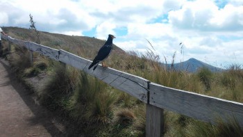 Фотографируем... - 20150520_111245.jpg