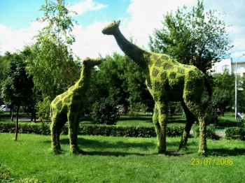 Фотографируем... - Красноярск 058.jpg