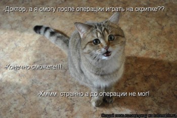 Просто анекдот .. - 614677.jpg