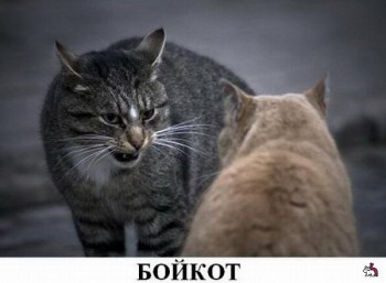 испорченный телефон - 1310217068_29.jpg