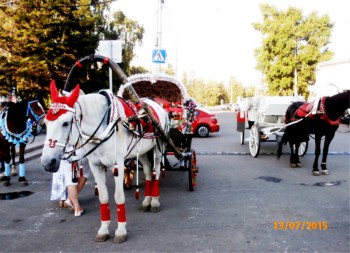 Фотографируем... - красноярск2015 139.jpg