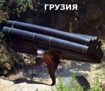 Забавные картинки - 1310216919_6.jpg