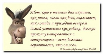 Забавные картинки - мудрость.jpg