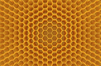 Этимология Нет Net Пусто Сеть Тина Сито Сота Стой Тьма Муть ...  - soty-мин.jpg