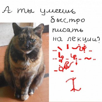 Как научиться быстро писать. - 090316.JPG