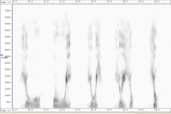 Звук и буква Й - ю.png