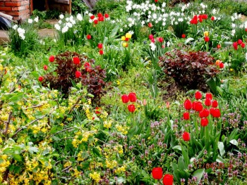 Фотографируем... - P4110927.JPG