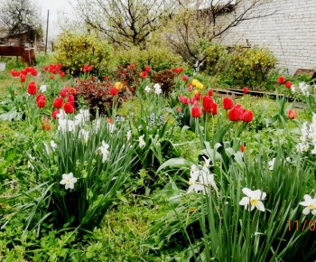 Фотографируем... - P4110922.JPG