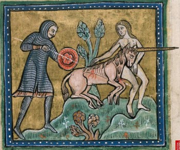 Как разошлись Кот Кит морской и Каюта. - tumblr_inline_nnowe20hWA1sxndw0_500.jpg