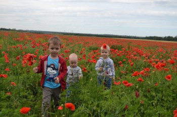 Фотографируем... - DSC_0166.JPG