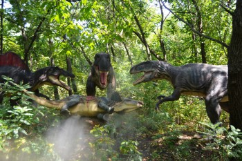 Фотографируем... - DSC_0530.JPG