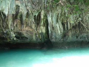 Фотографируем... - DSC05081.JPG