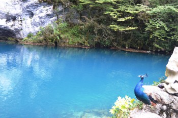 Море. Кубань 2016