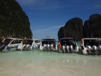 Фотографируем... - DSC05012.JPG