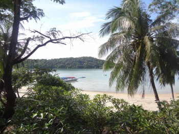 Фотографируем... - DSC04984.JPG