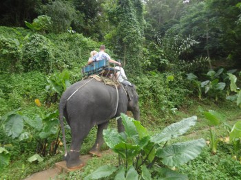 Фотографируем... - DSC04936.JPG