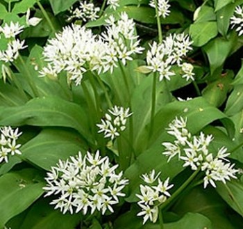 Непонятно почему так назвали некоторые блюда - Колба.jpg