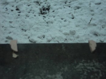 Примеры восприятия синхронных по времени знаков - DSC01177.JPG