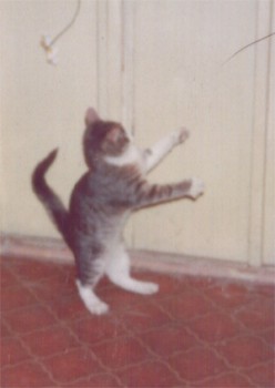 Глубокая юность - kosia-1.jpg