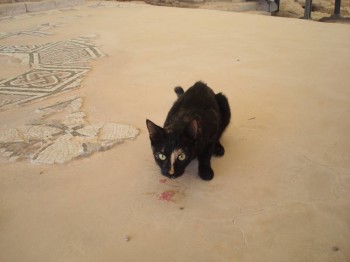 Прогулка по Форуму - DSC04798.JPG